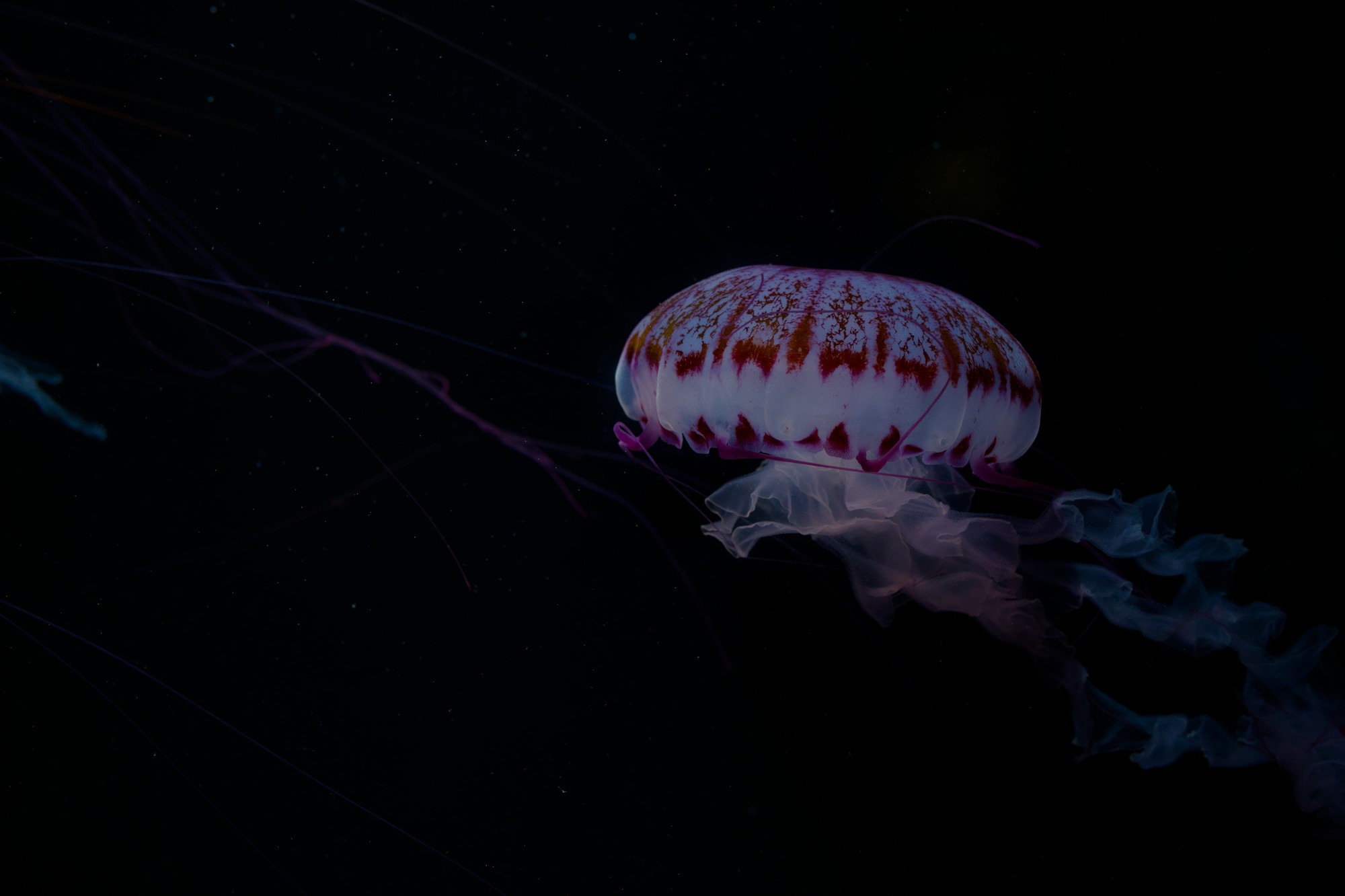 20260827_0139
